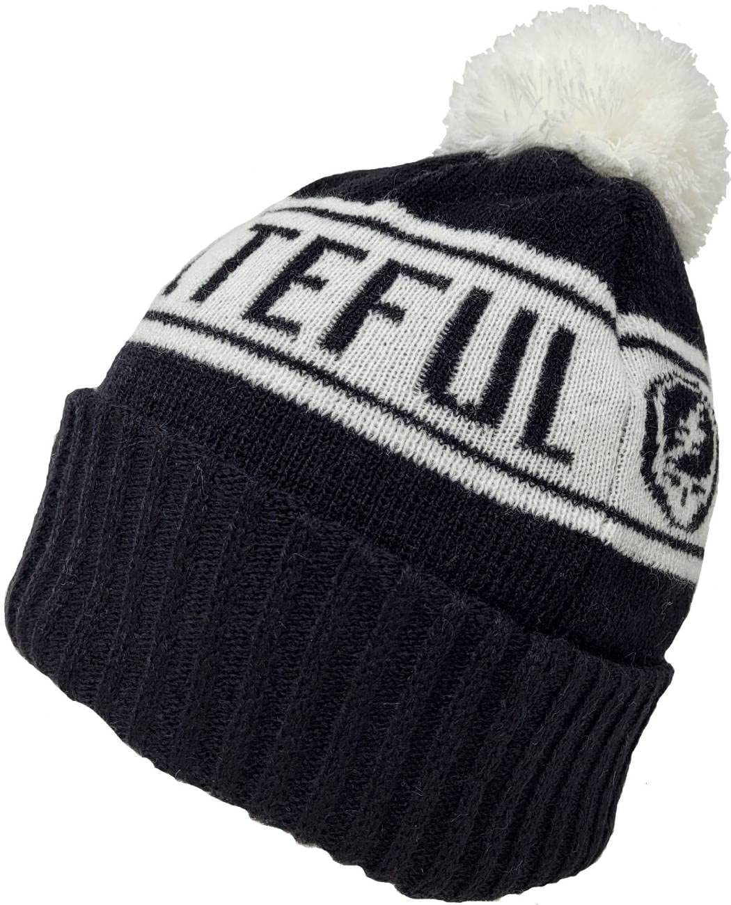 Grateful Dead Stealie & Text Beanie