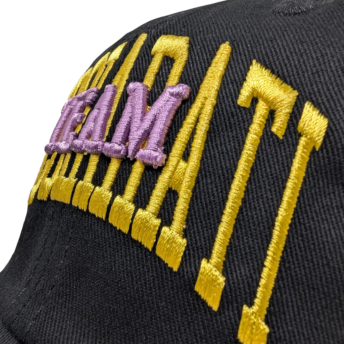 JoJo's Bizarre Adventure Embroidered Bucciarati Team Dad Hat