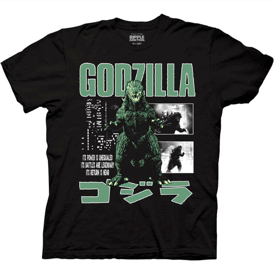 Front of shirt