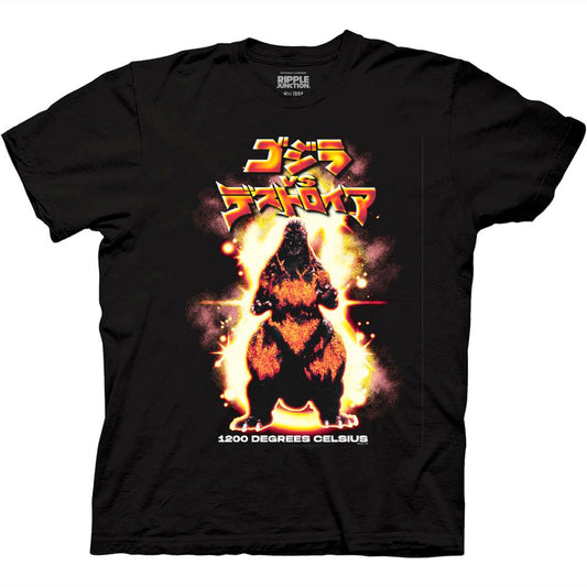 Front of shirt